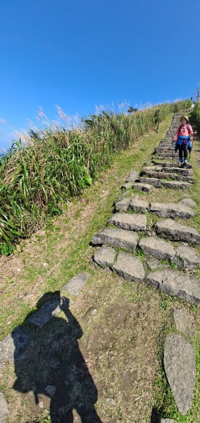 基隆山步道1274930