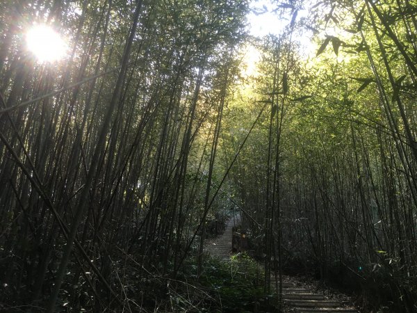 20210116-關刀山1238205