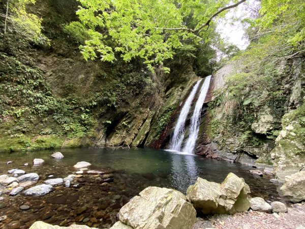 老鷹溪步道886541