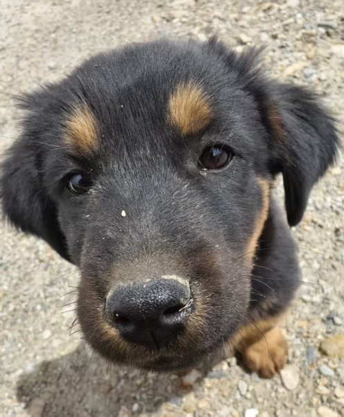 西藏-崗仁波齊轉山/珠峰大本營5200米2897479