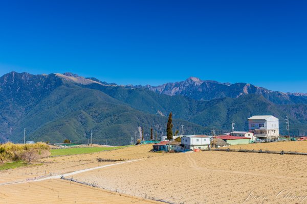 福壽山千櫻園櫻花盛開2724932