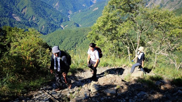 悠遊高山與中級山間的山旅健行在塔塔加玉山前峰及鹿林麟趾山1359942