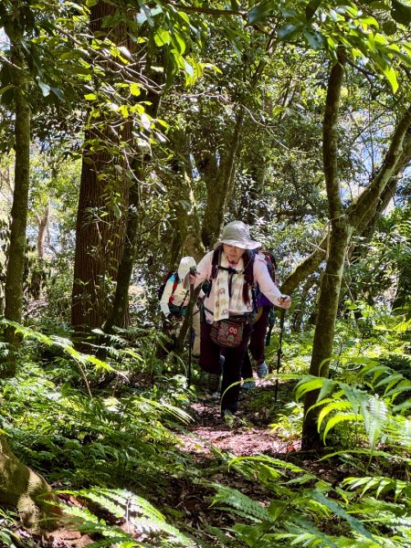 瞭望台-瓊山-望美山-獵人古道2886869