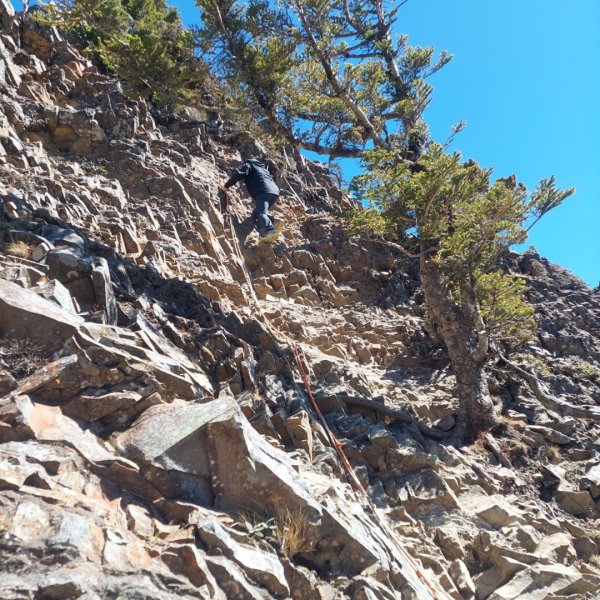 2025/228 武陵四秀2926733