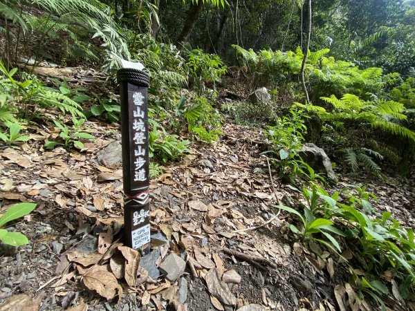 《雪山坑登山步道｜巨人之手森林秘境 Xueshankeng Hiking Trail & Giant2971099