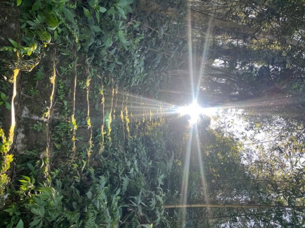 雲嘉五連峰2735902