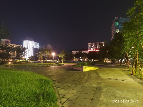 大稻埕 - 迪化街、大港墘公園【臺北健走趣】2855345