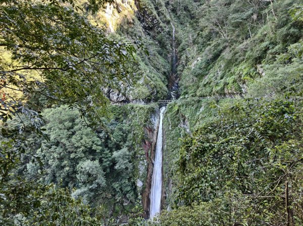 [玉山尋寶任務-07/12] 2025_0824 八通關雲龍瀑布步道2870710