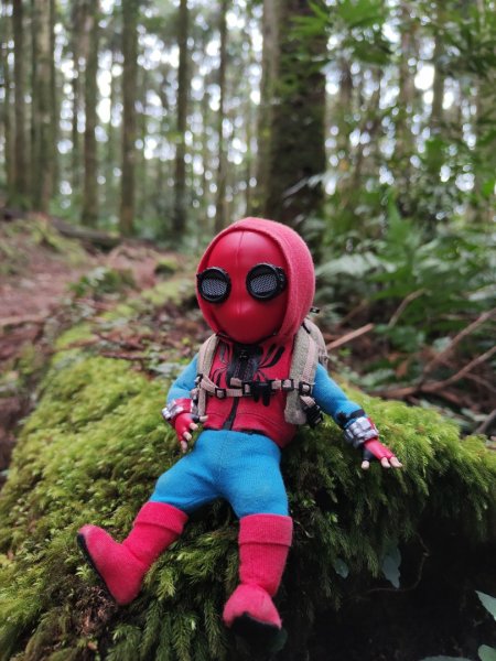 2023.12.27 東眼山2838863