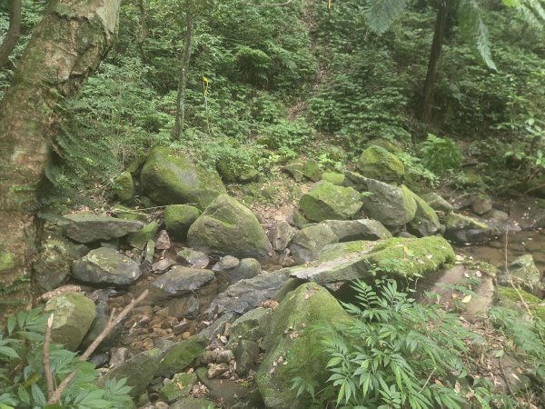 20261014土地公嶺-竹里山3138370
