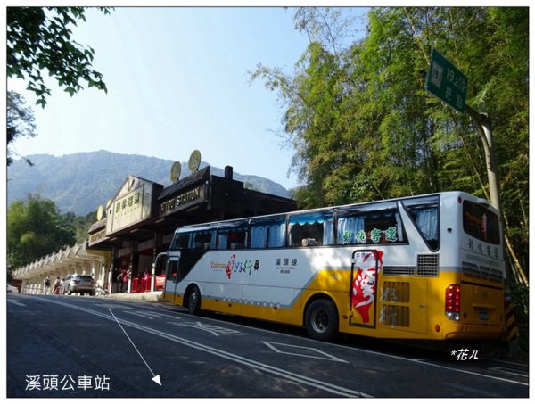 溪頭/鳳凰山步道2093497