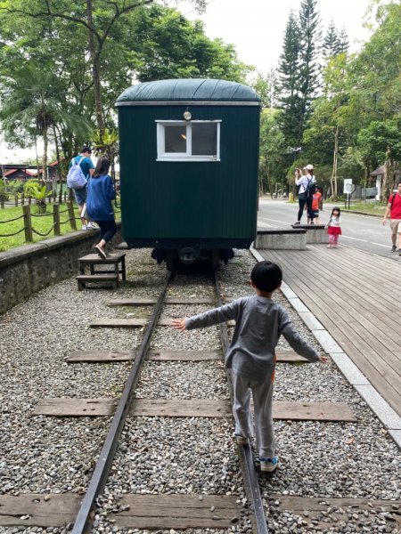 20200403貓仔們林田山林業文化園區912351