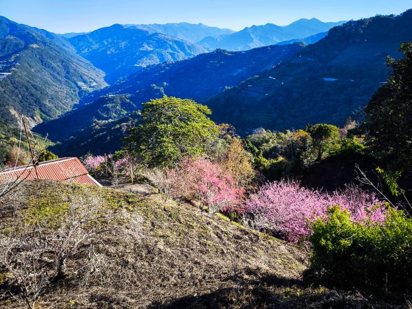 2025-02-16 巴蜈縱走2714314