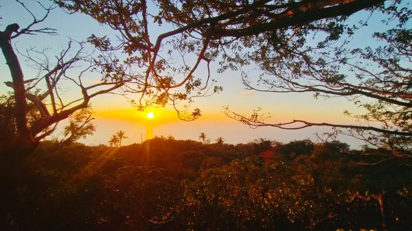 柴山夜爬看夕陽2993429