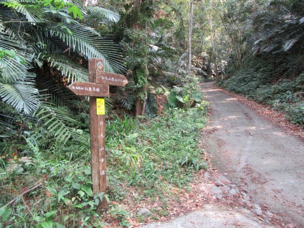 20200321-白毛山886562