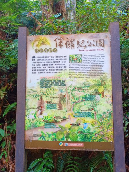 【南投魚池】澀水森林步道2933041