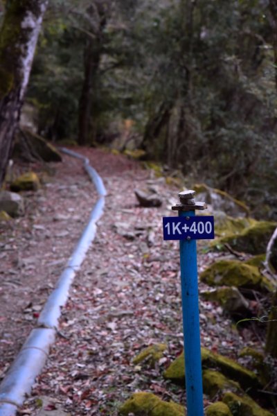 阿里山鄉石山引水道2427469