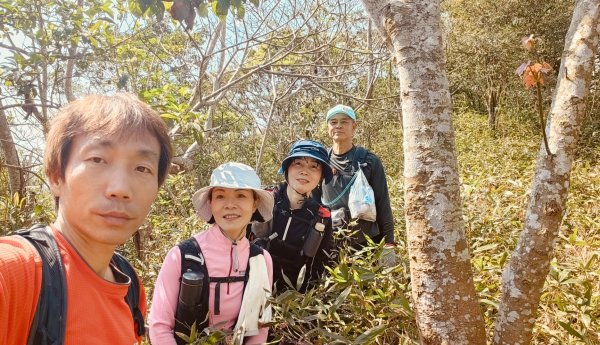 田良井山六連峰(屏東三地門) 探勘初體驗2025年3月9日2731630