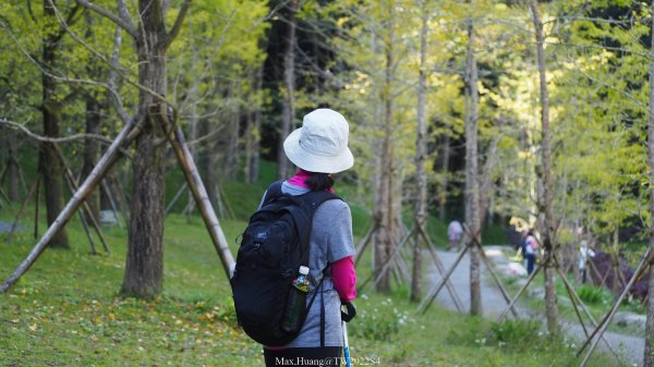 《南投》青龍飛瀑｜杉林溪青龍瀑布越嶺古道燕庵步道