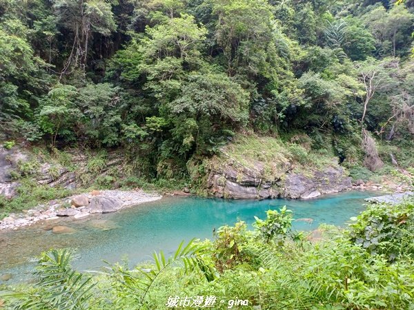 【花蓮秀林】美景天成。 砂卡礑步道2241828