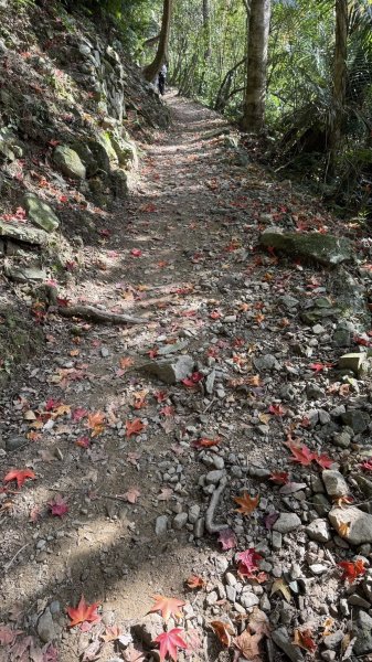 20260117三峽雲森瀑布2990316