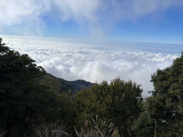 加里山 杜鵑嶺 2054峰 稜線遊玩 看雲海1918557