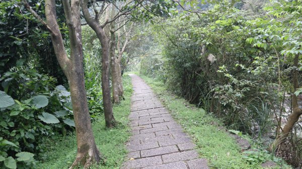獵貍尖步道連走烏塗溪步道登山健行趣(淡蘭南路TK3-6&TK3-5&TK3-4)2404544