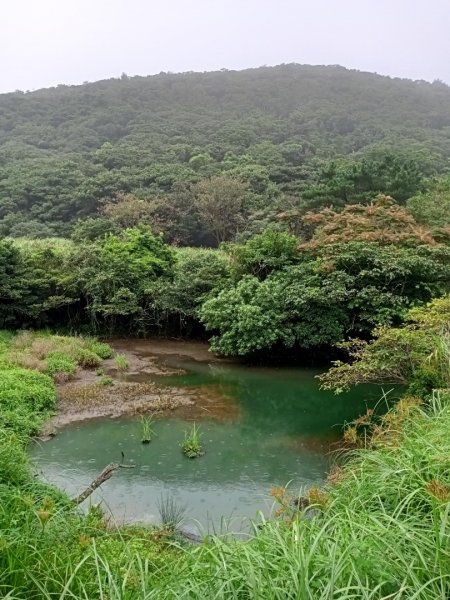 【臺北大縱走1+2】二子坪面天山向天山池1096338