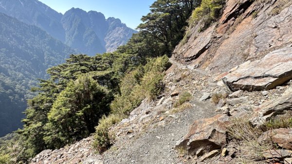 東埔-排雲-玉山西峰-玉山主峰2753196