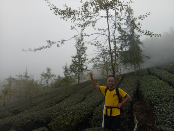 鹿谷大崙頭山樟空倫山竹崙山6連峰O型(大石公起登)+小半天長源圳生態步道1886025