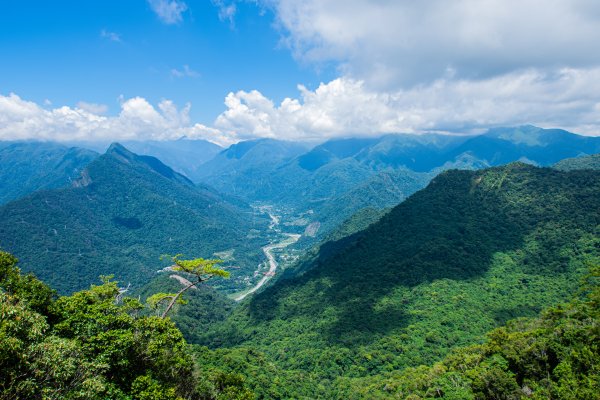 白毛山3085417