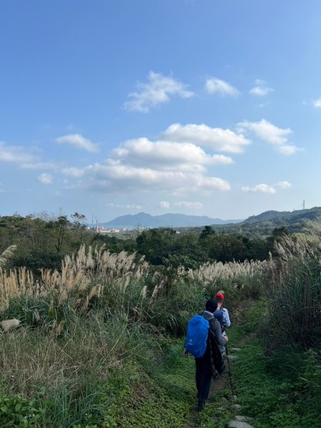 2025-01232淡蘭古道北二段(燦光寮古道到澳底)2696726