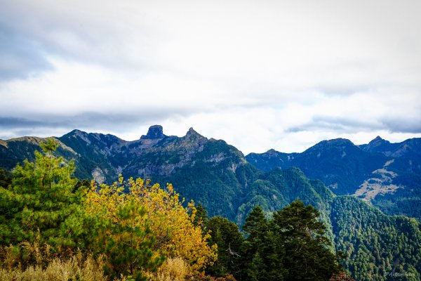 [冬訪大霸聖山岳參行]-榮耀桂冠B'bu' Papak聖稜精選輯2974846