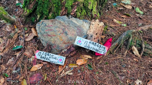 億年橋上志佳陽2960143