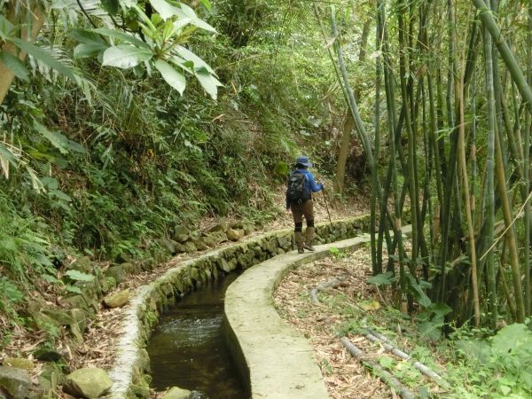 橫嶺古道．半嶺水圳步道115934