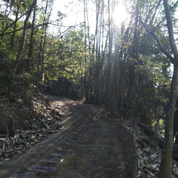 八通關古道社寮段566488