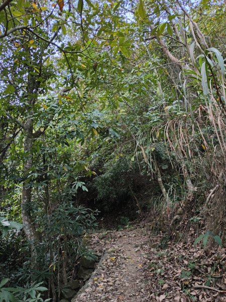 2023.11.30 九份二山2677677