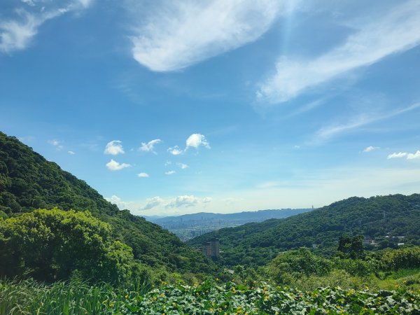 紫明溪步道+［陽明山五瀑］（大屯+小隱潭+半嶺+松溪+翠峰）（二）（2023/8/29）2268235