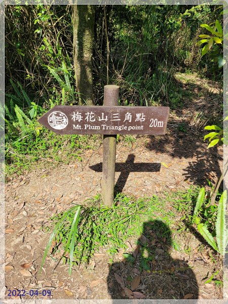 台北大縱走。第四段1688812
