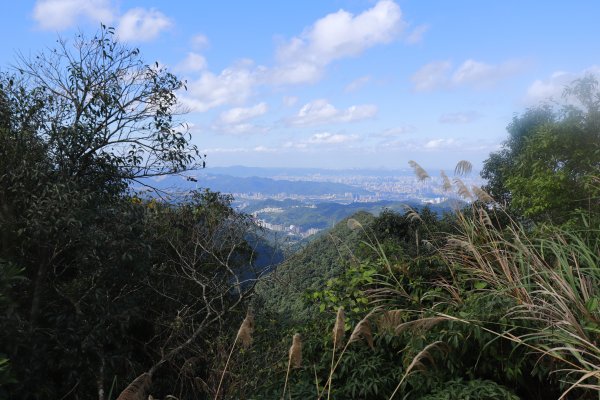 篳路藍縷之直潭山系縱走1233172