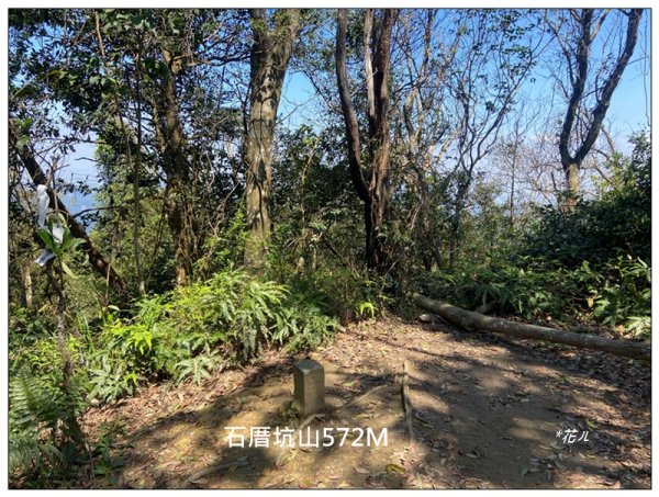 草嶺山、白石山、頭寮山 六連峰 O型路線2798578