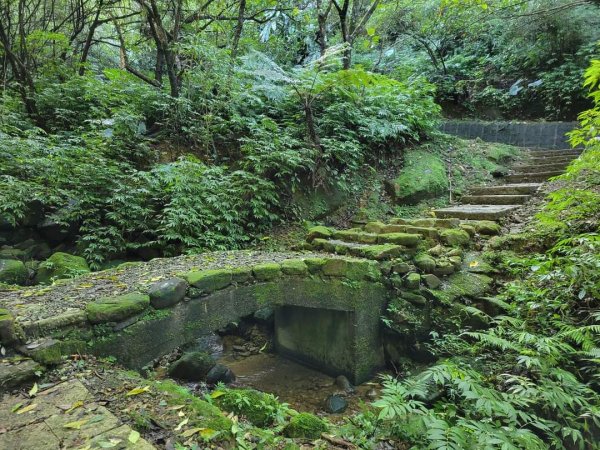 112.12.07 淡蘭古道（雙溪-十分）2551557