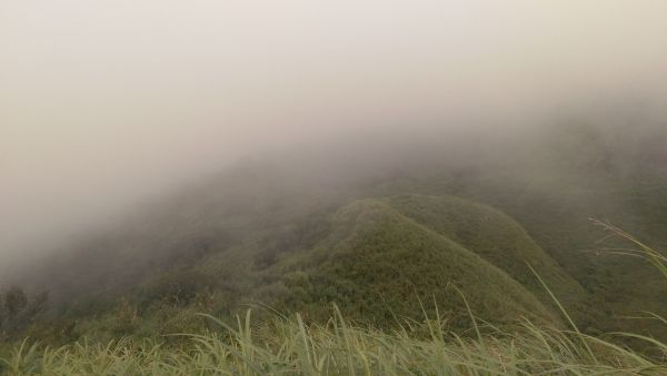 鶯子頂山-鶯子嶺375510