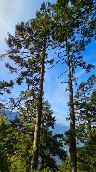 112.04.16 玉山前峰2123671