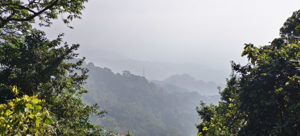 2024/12/14_關刀山步道O型2669311