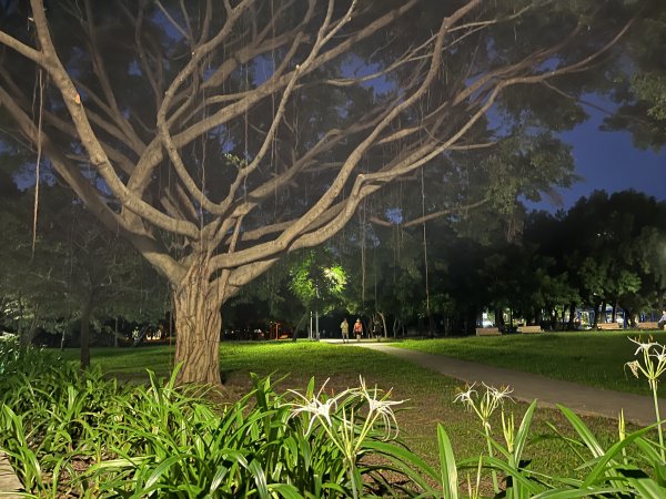 [2024臺北健走趣-25/35] 2024_0630_榮星公園2546024