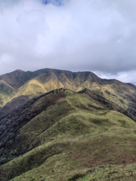 渭水之丘 烘爐地山 抹茶山 三角崙山2938792