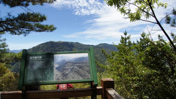 塔塔加東埔山步道693935