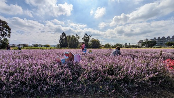 桃園仙草嘉年華,富岡老街2362173