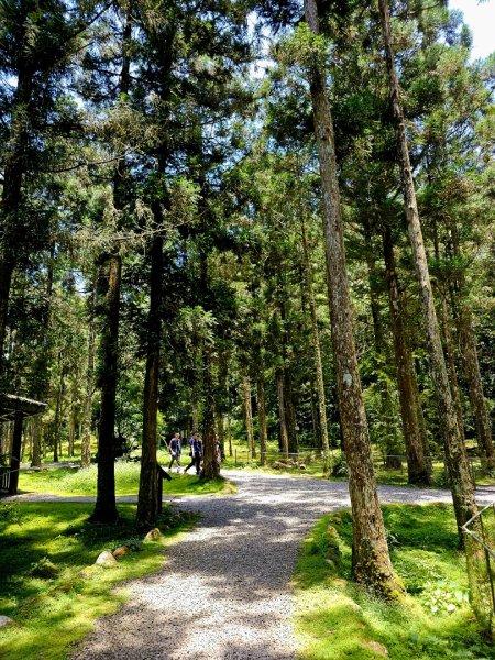 福山植物園 - (宜蘭)臺灣百大必訪步道2557624